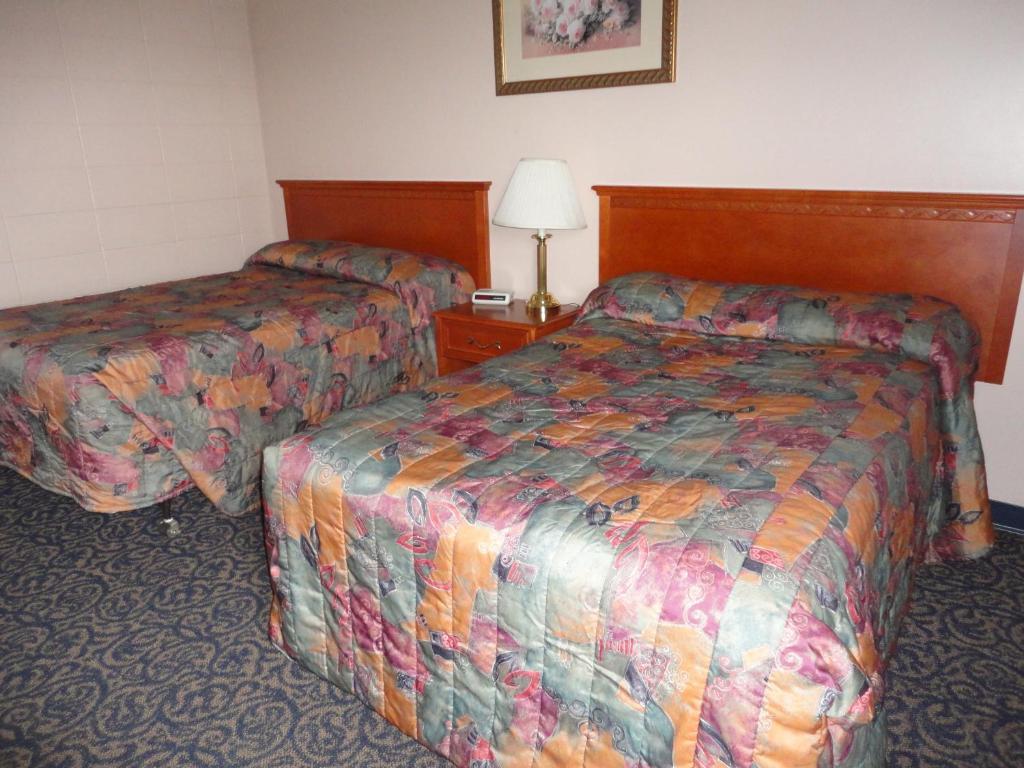 Matador Motel Drayton Valley Rum bild